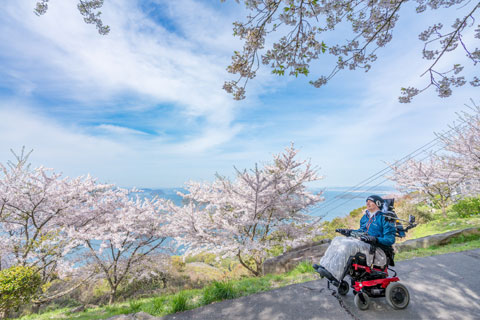 山頂展望台附近（遺跡館旁）