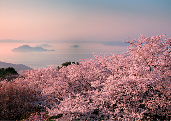 紫雲出山 | 三豐市觀光交流局