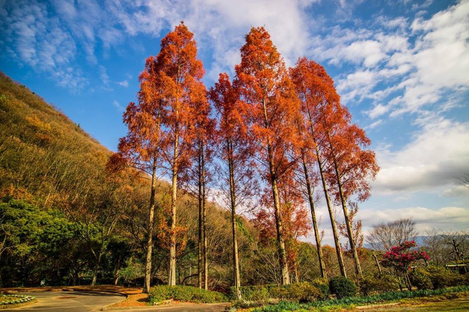 不動瀑布 (不動の滝) 郊區公園