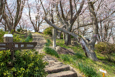 Stone-Paved Stairs to the Summit Observation Deck