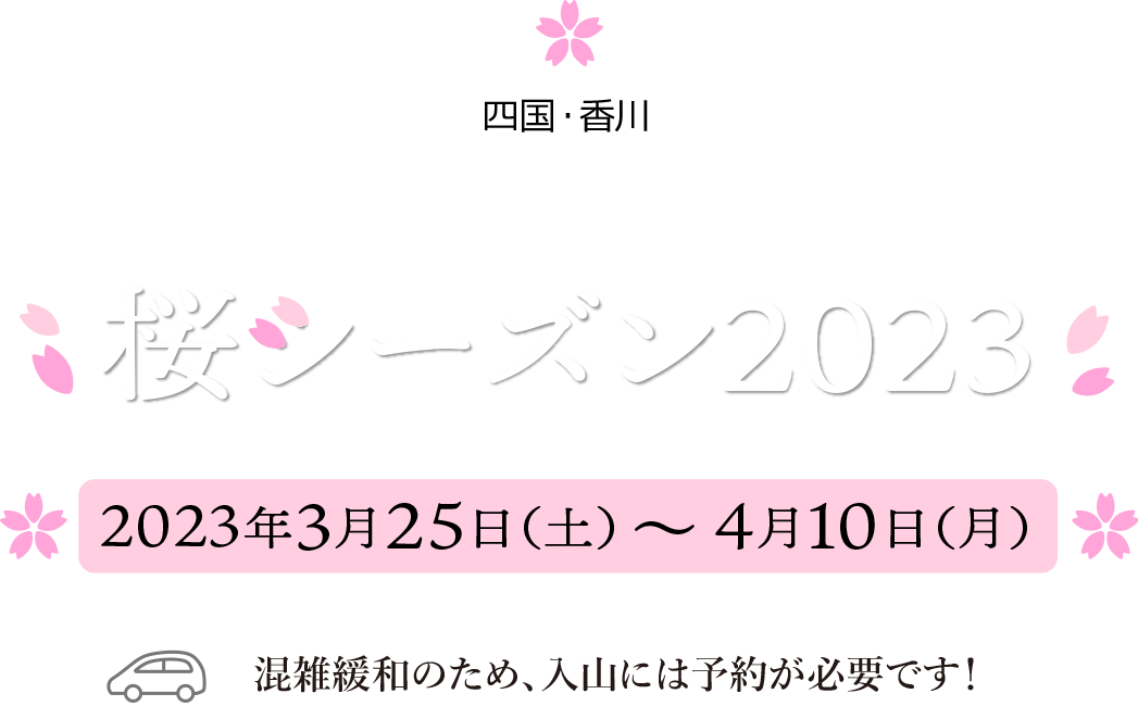 紫雲出山】桜シーズン交通規制のご案内 | 三豊市観光交流局