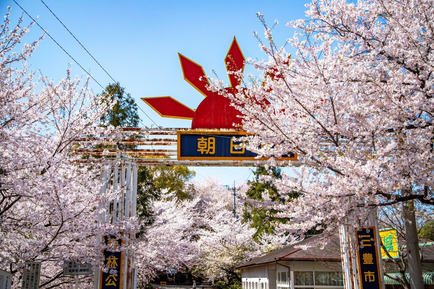 朝日山森林公園 三豊市観光交流局