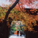 写真コンテスト〔秋・冬の部〕　最優秀賞作品「晩秋の弥谷寺」