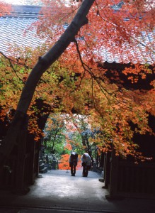 写真コンテスト〔秋・冬の部〕　最優秀賞作品「晩秋の弥谷寺」