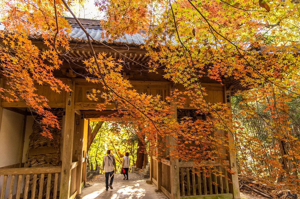 弥谷寺（四国霊場第71番札所）