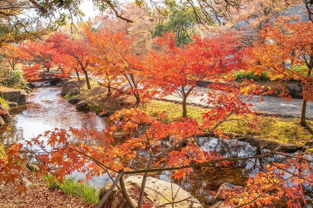 香川用水記念公園