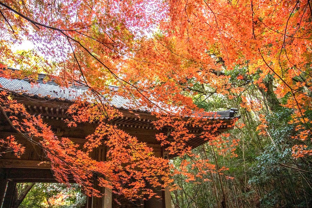 弥谷寺（四国霊場第71番札所）