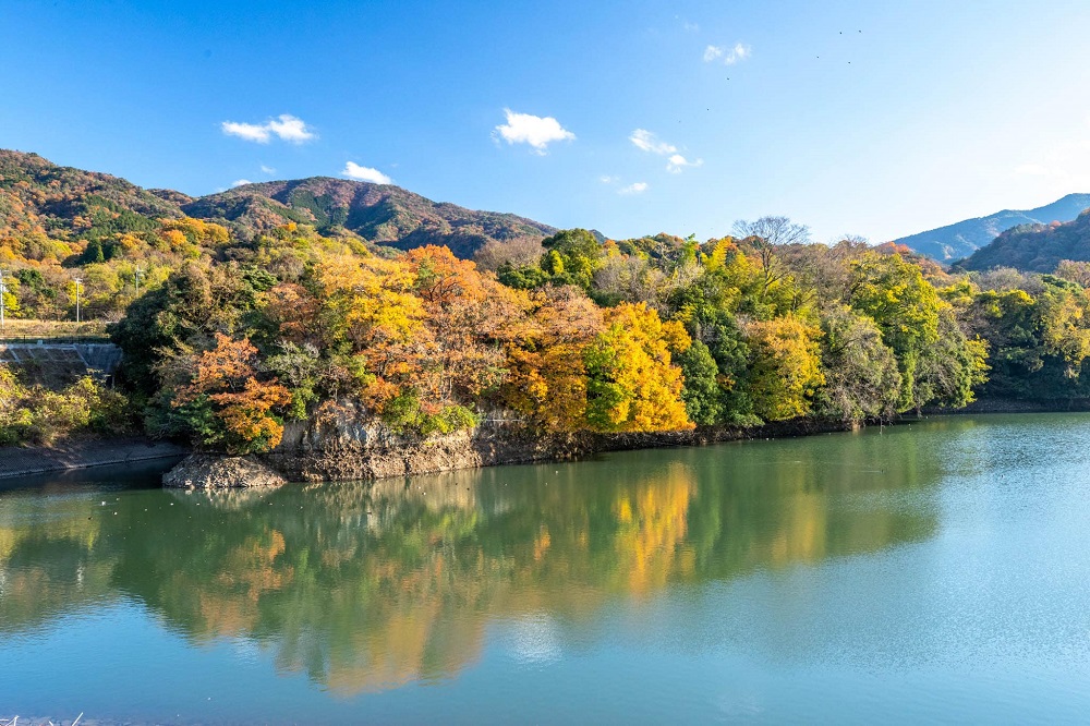 戸川ダム公園