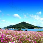 urashima flower park